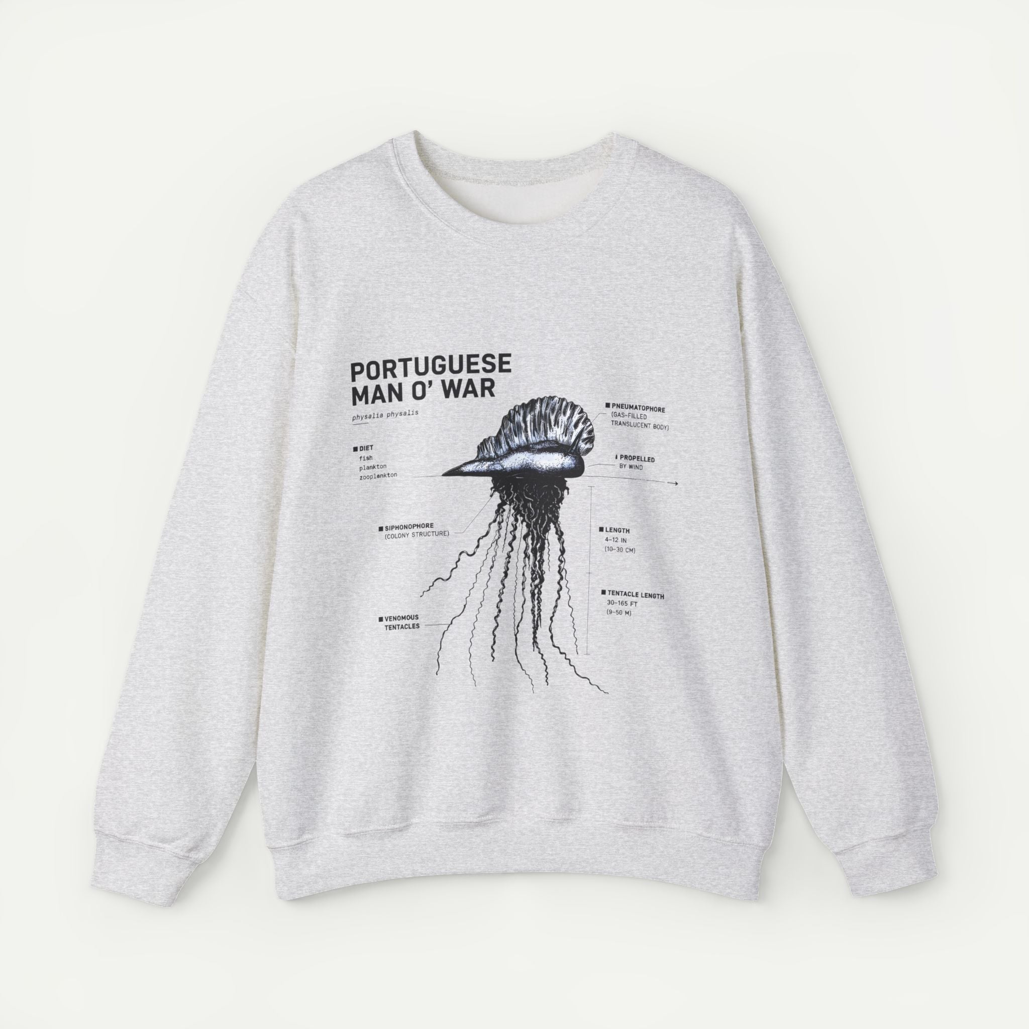 Portuguese Man O' War Anatomy Sweatshirt Secondary image