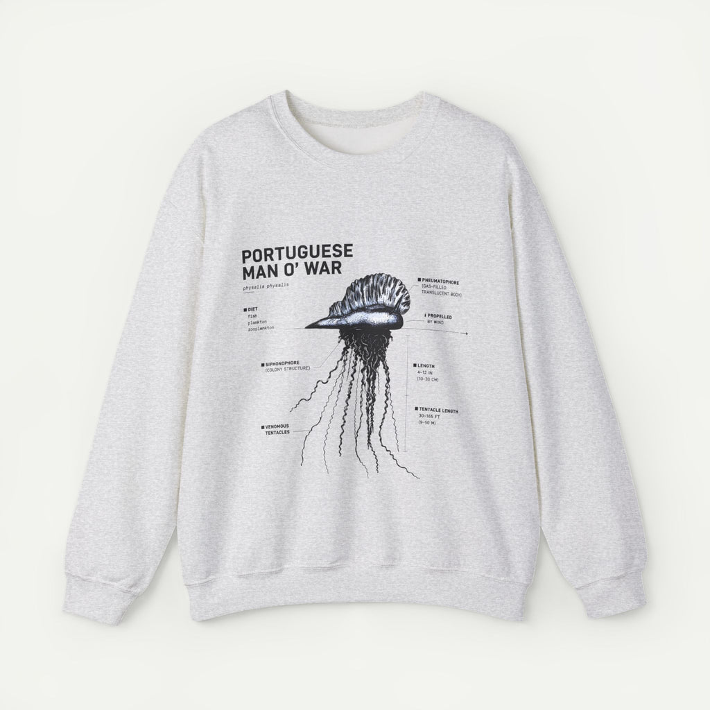 Portuguese Man O' War Anatomy Sweatshirt