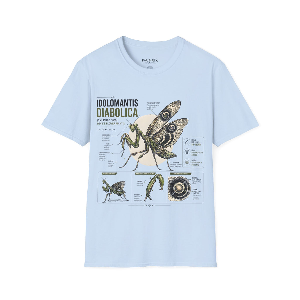 Praying Mantis Botanical Anatomy T-Shirt — Mantis Taxonomy Graphic Tee