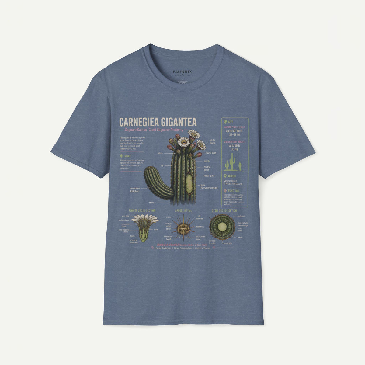 Carnegiea Gigantea Cactus Anatomy T-Shirt — Saguaro Plant Illustration Tee