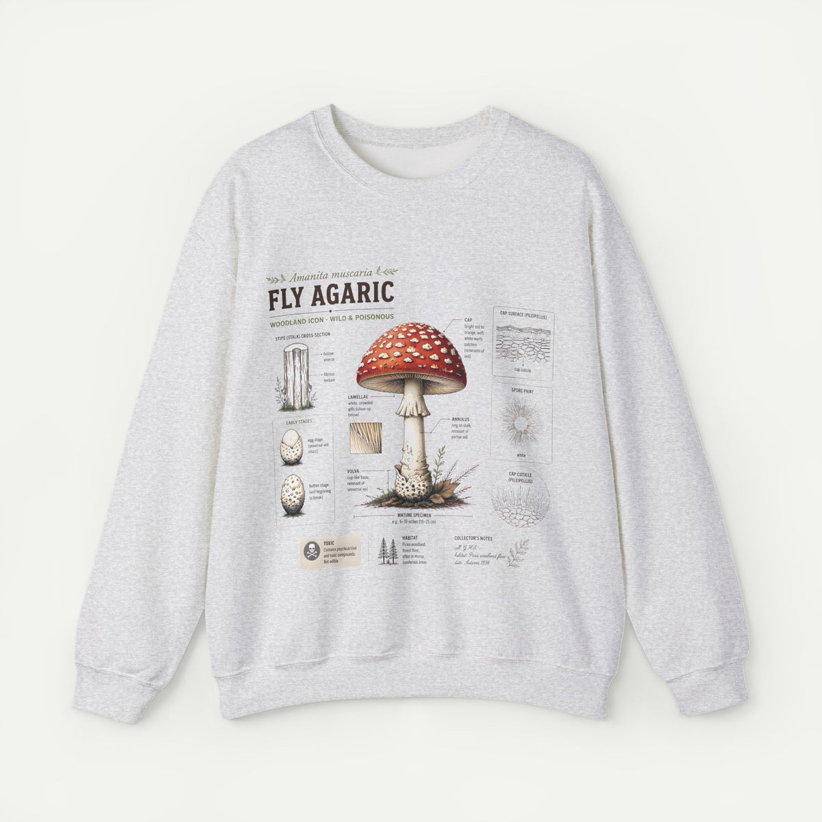 Fly Agaric Mushroom Anatomy Sweatshirt — Botanical Mycology Illustration Crewneck Main image