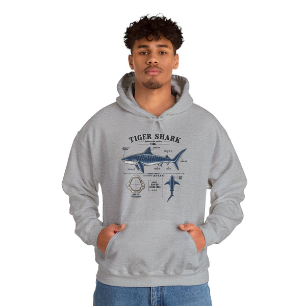 Tiger Shark Anatomy Hoodie — Nautical Science Graphic Pullover