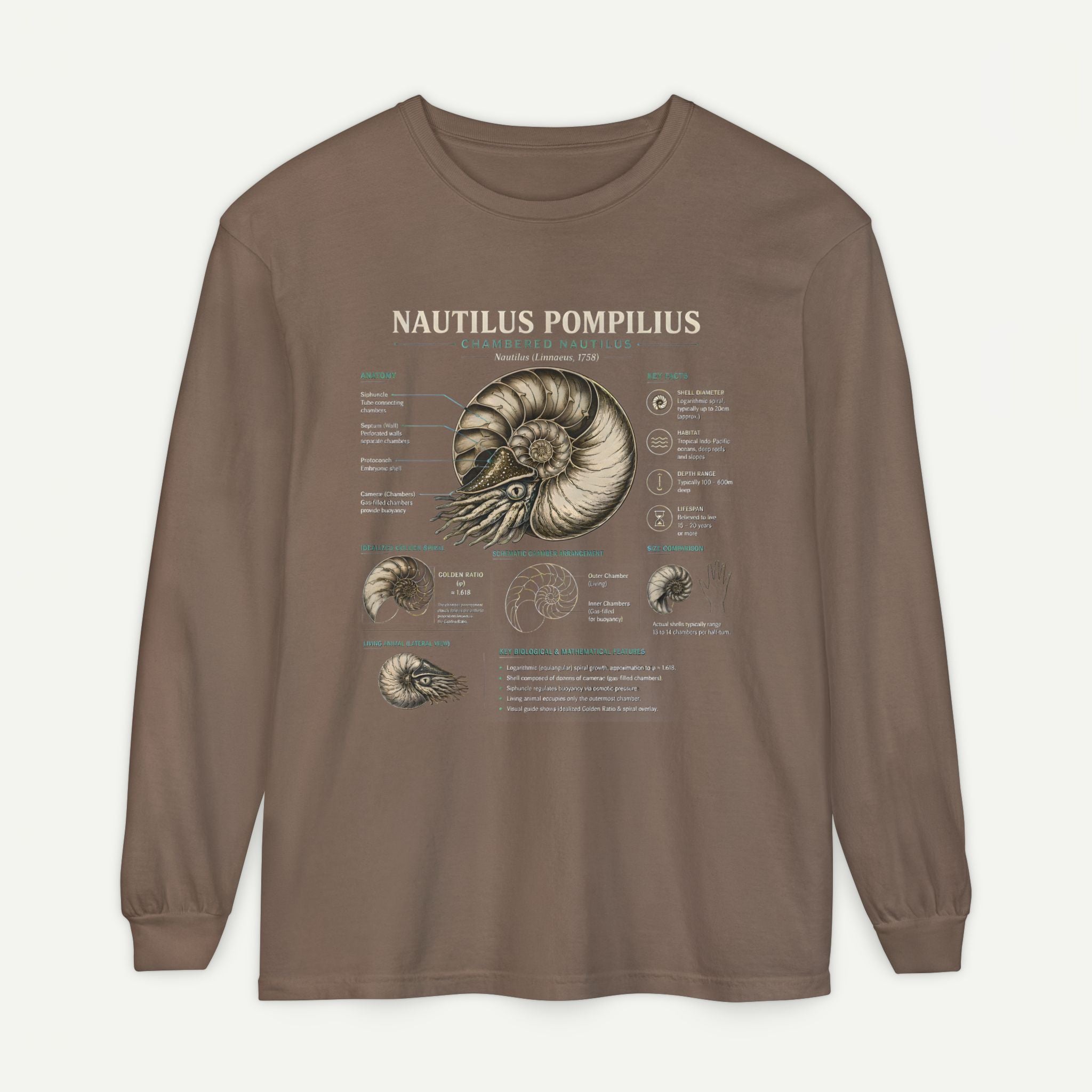 Nautilus Pompilius Anatomy Long Sleeve Tee — Vintage Marine Science Shirt Secondary image