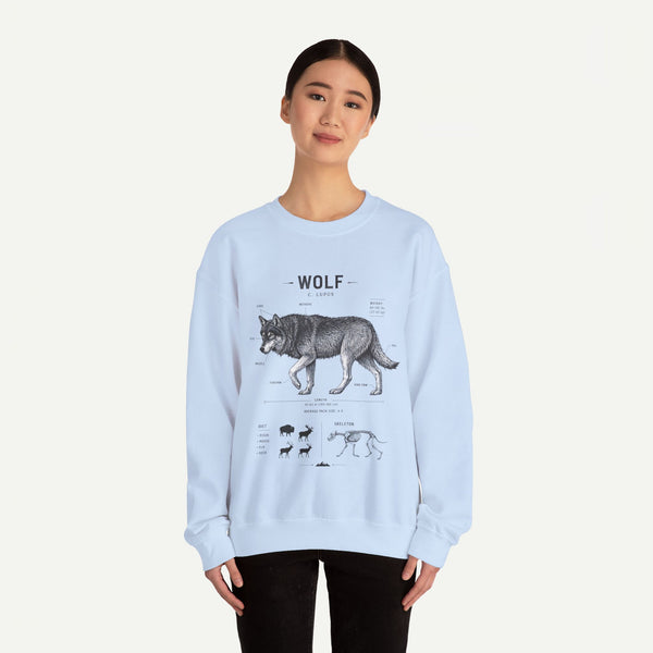 Wolf Anatomy Crewneck Sweatshirt