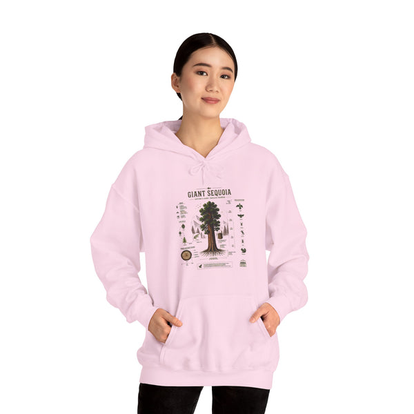Giant Sequoia Botanical Hoodie — Vintage Tree Illustration & Facts