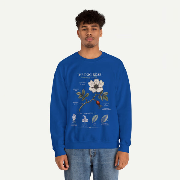 Dog Rose Botanical Sweatshirt — Vintage Floral Anatomy Crewneck