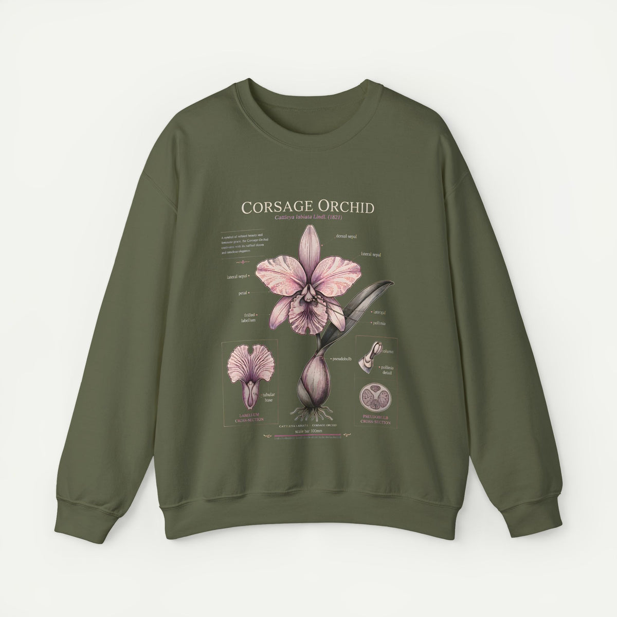 Corsage Orchid Sweatshirt — Botanical Anatomy Floral Crewneck