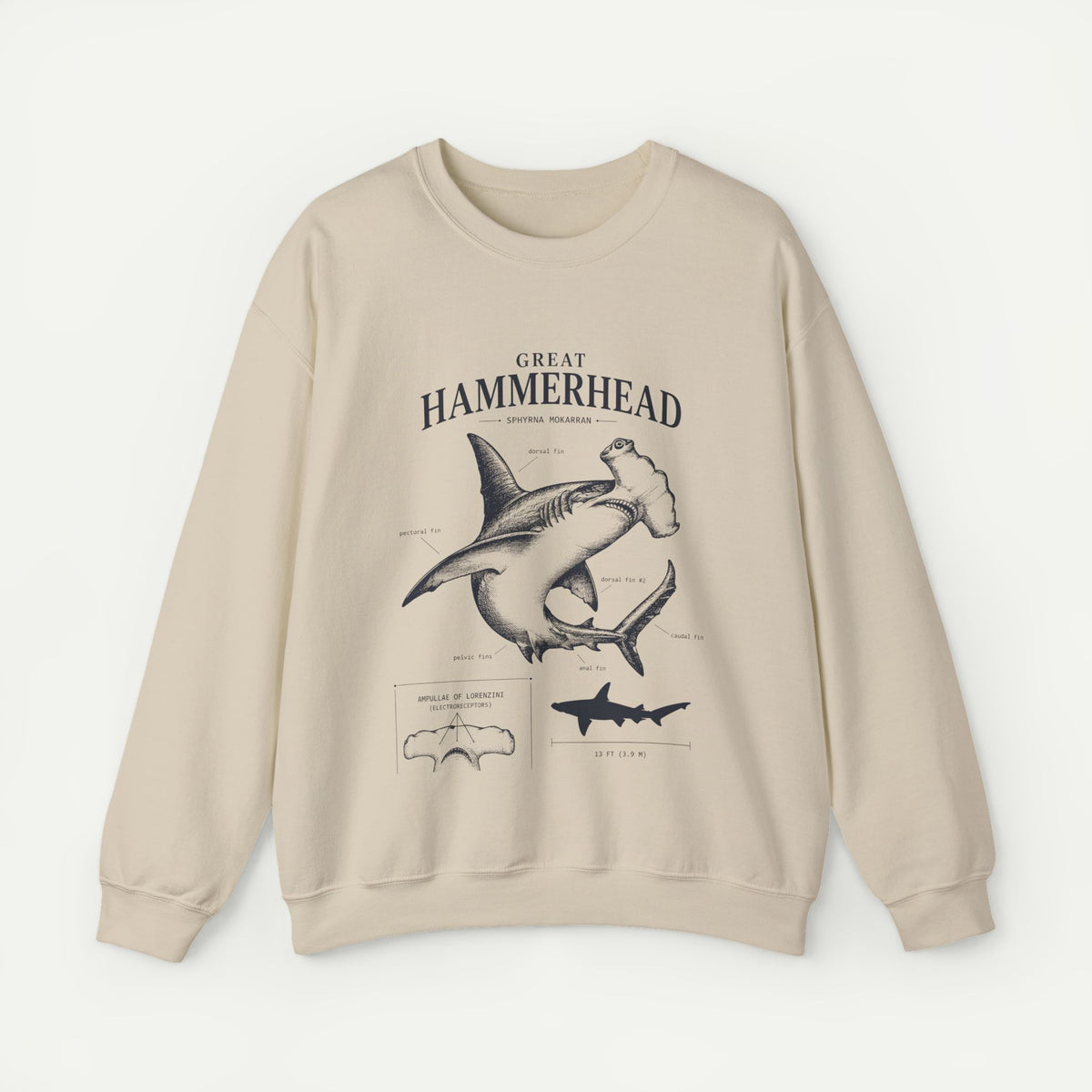 Hammerhead Shark Sweatshirt – Great Hammerhead Illustration
