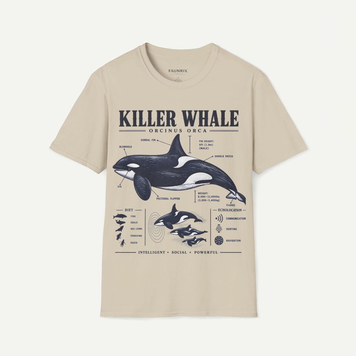 Killer Whale Diagram T-Shirt — Orcinus Orca Marine Life Graphic Tee