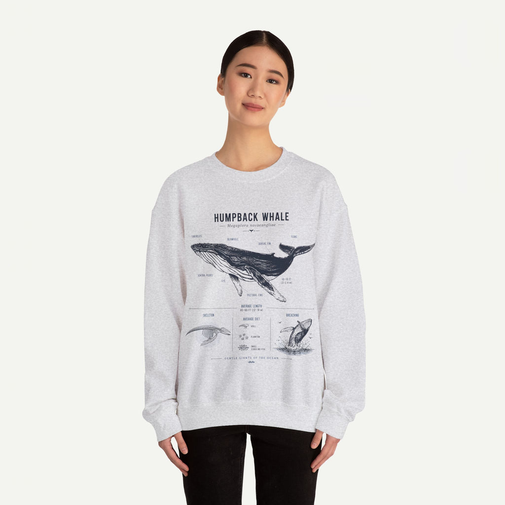 Humpback Whale Anatomy Sweatshirt
