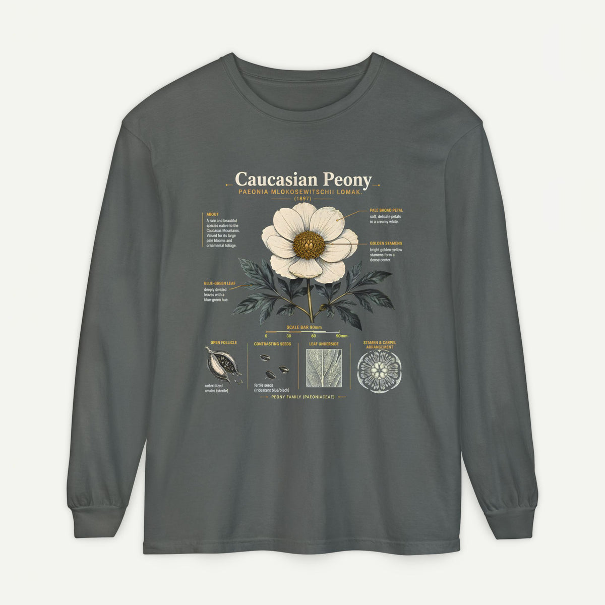 Botanical Diagram Long Sleeve Tee — Wild Rose Illustration