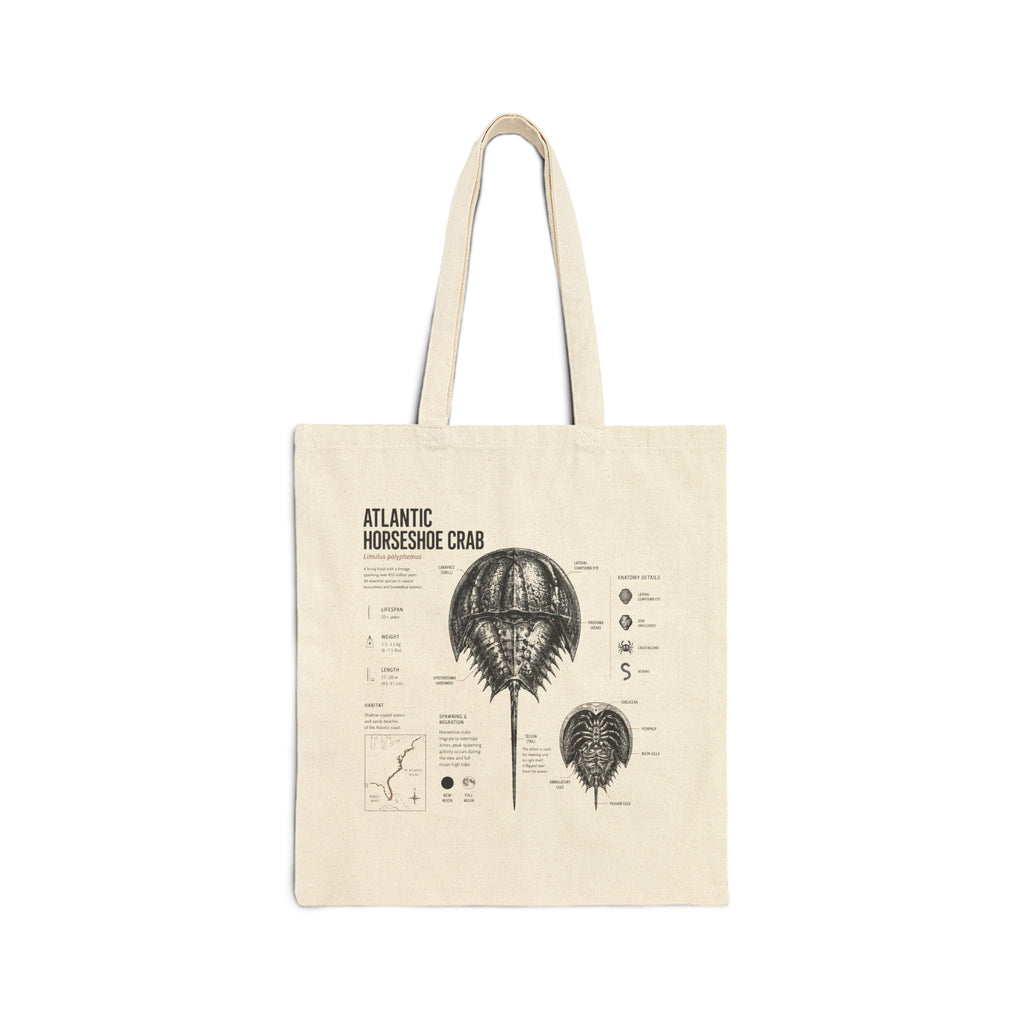Tote Bag - Vintage Atlantic Horseshoe Crab Anatomy Canvas Tote