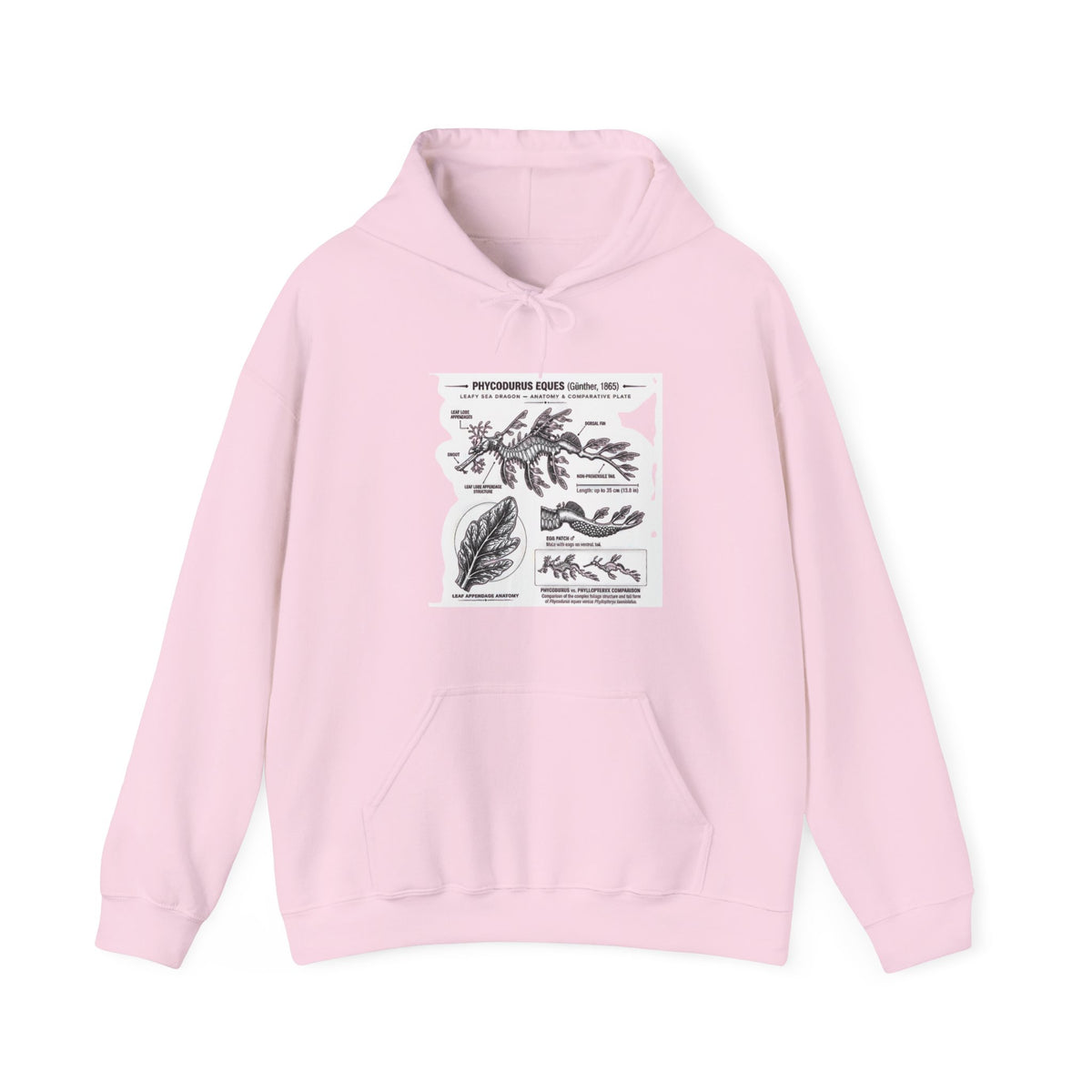 Botanical Anatomy Hoodie — Vintage Plant Diagram Sweatshirt