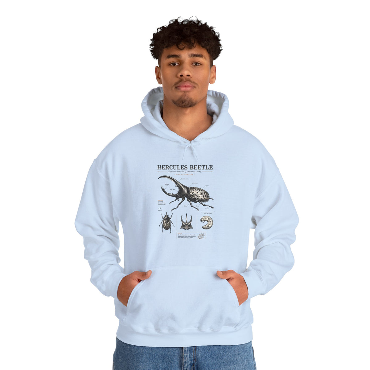 Hercules Beetle Anatomy Hoodie — Vintage Entomology Illustration Sweatshirt