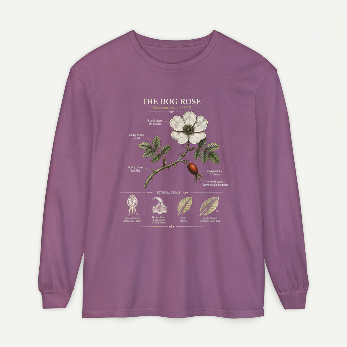 Vintage Botanical Long Sleeve Tee — Wild Rose Illustration Main image