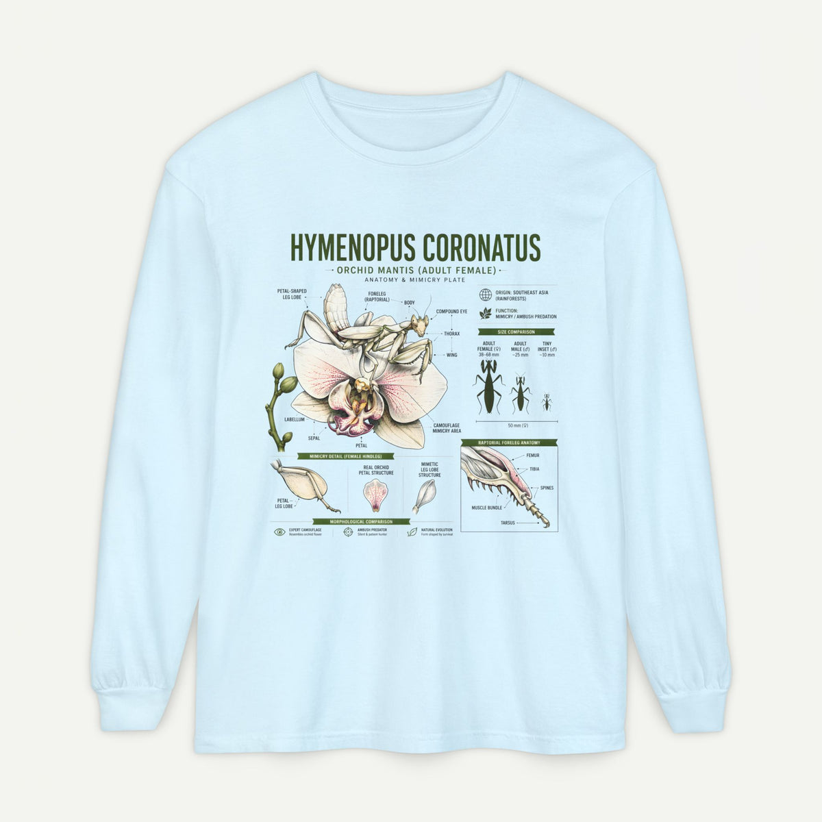 Hymenopus Coronatus Orchid Mantis Illustration Long Sleeve Tee