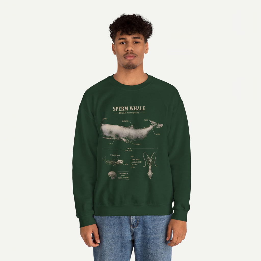 Sperm Whale Anatomy Sweatshirt — Vintage Marine Biology Illustration
