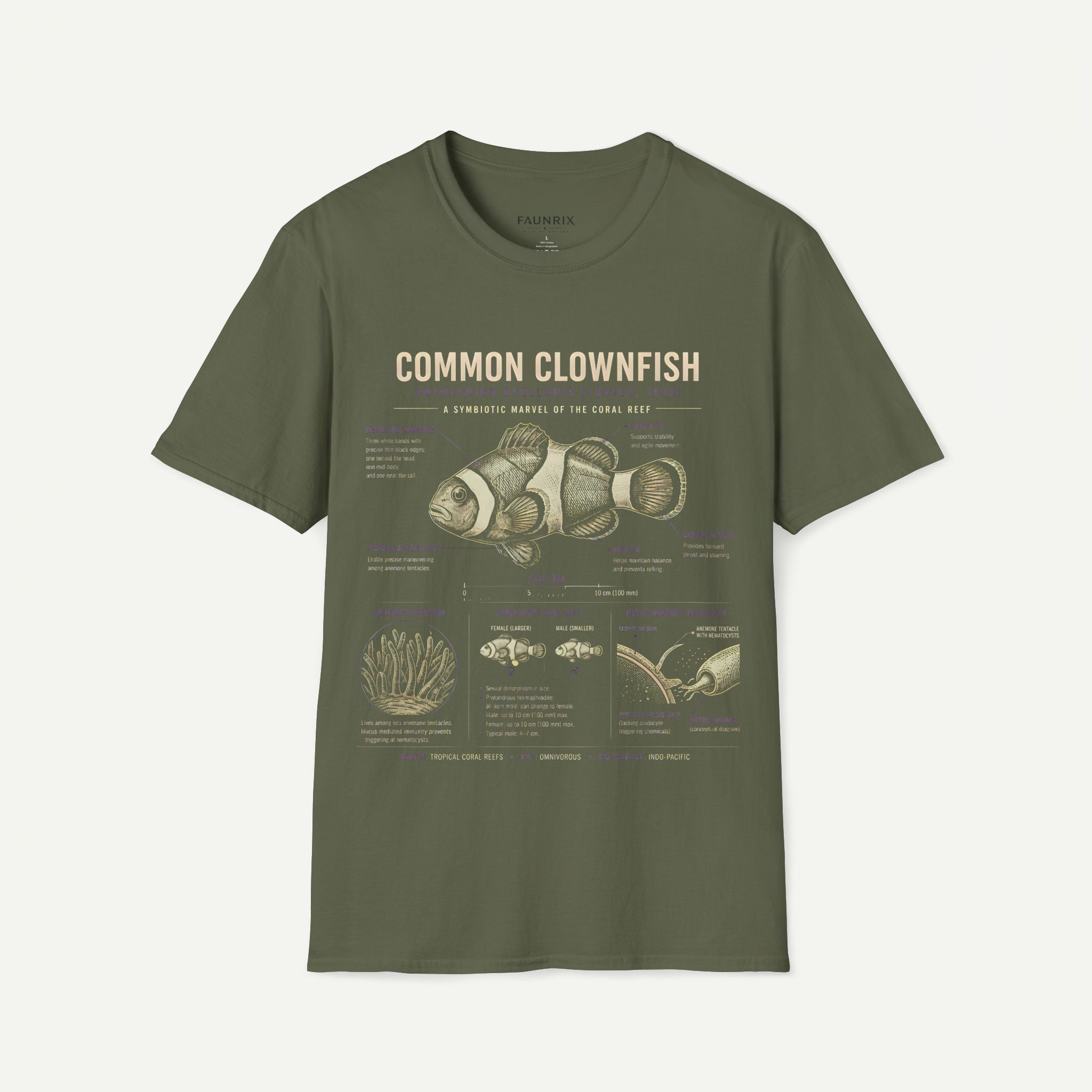 Common Clownfish Anatomy T-Shirt — Vintage Marine Biology Illustration Tee Secondary image