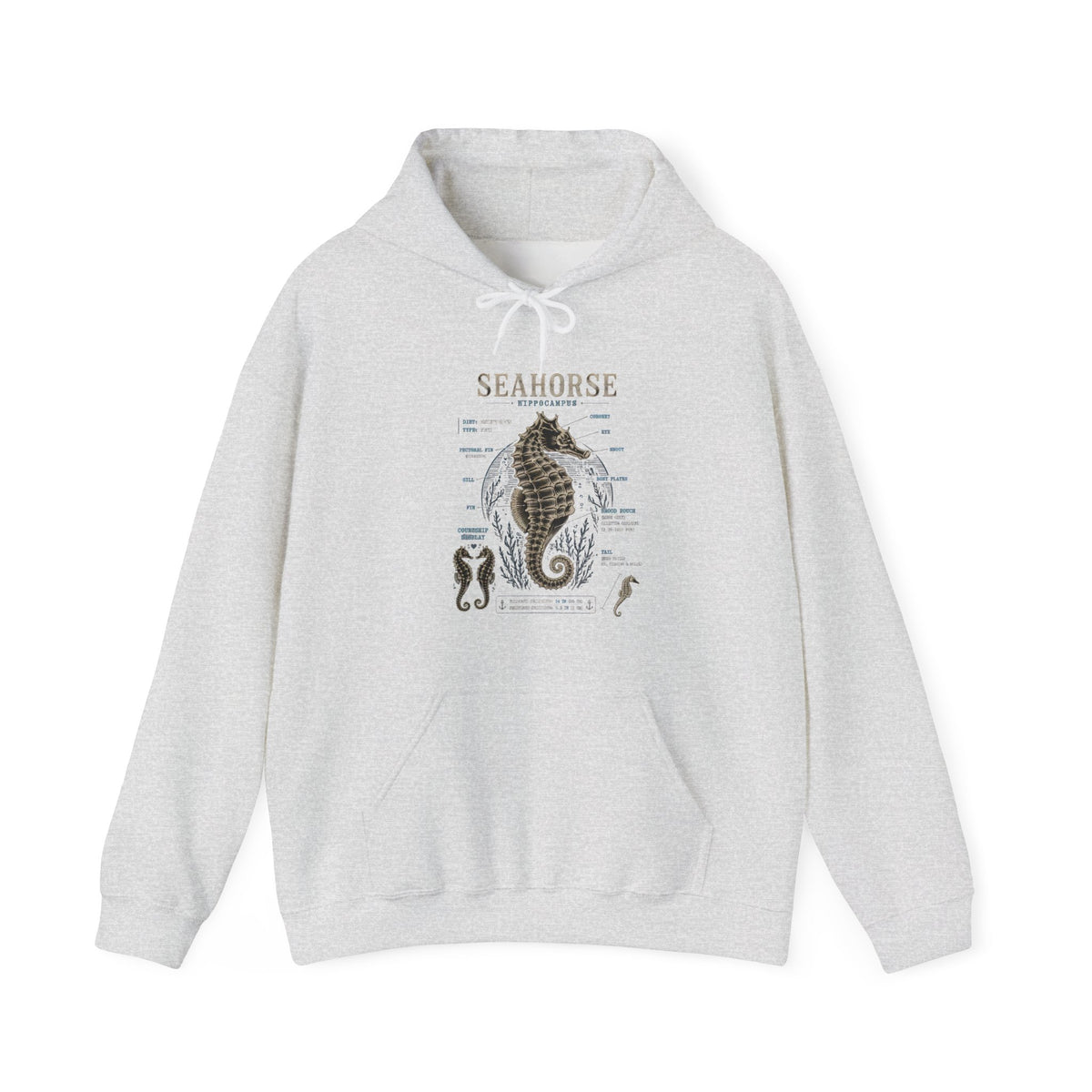 Seahorse Anatomy Hoodie — Vintage Marine Illustration Sweatshirt