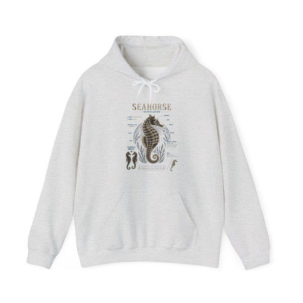 Seahorse Anatomy Hoodie — Vintage Marine Illustration Sweatshirt