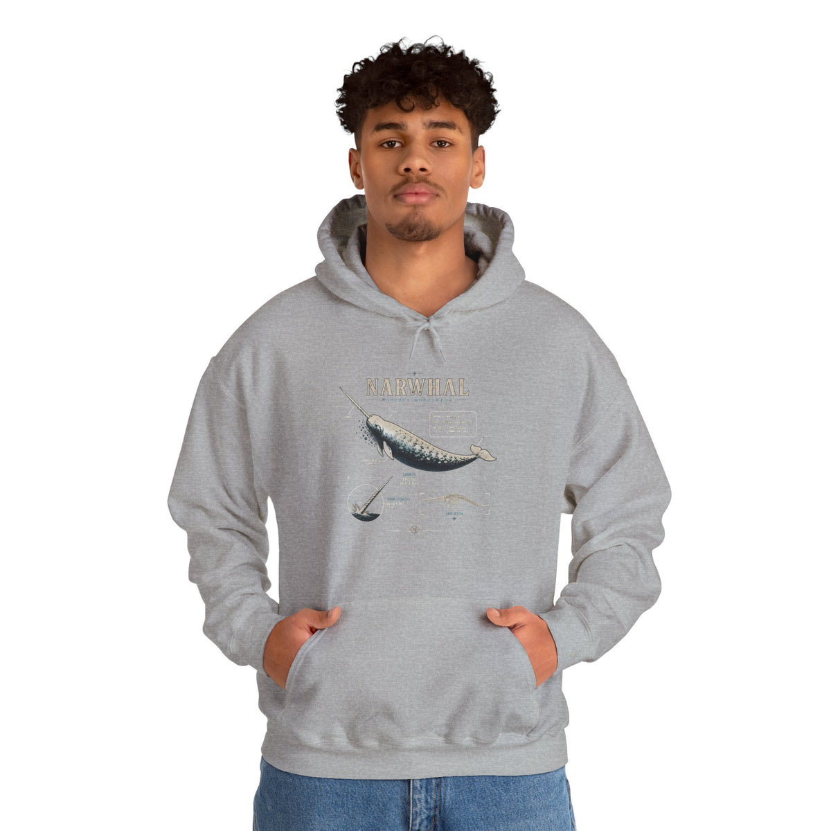 Narwhal Hoodie — Vintage Tailplane Illustration, Aviation Crew Sweatshirt