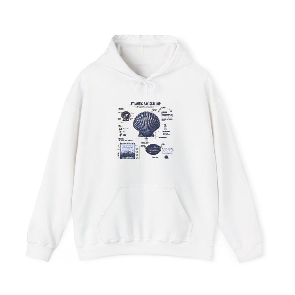 Seashell Anatomy Hoodie – Nautical Beach Diagram Sweatshirt