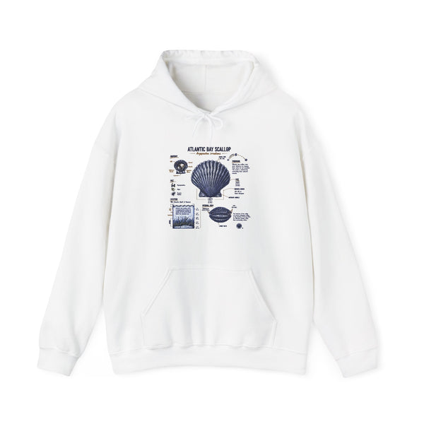 Seashell Anatomy Hoodie – Nautical Beach Diagram Sweatshirt