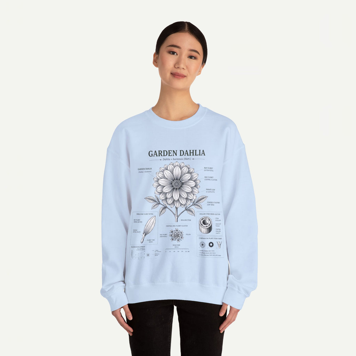 Dahlia Botanical Sweatshirt — Garden Dahlia Floral Diagram Crewneck