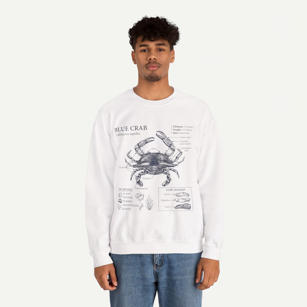 Blue Crab Anatomy Crewneck Sweatshirt – Marine Biology Graphic Pullover
