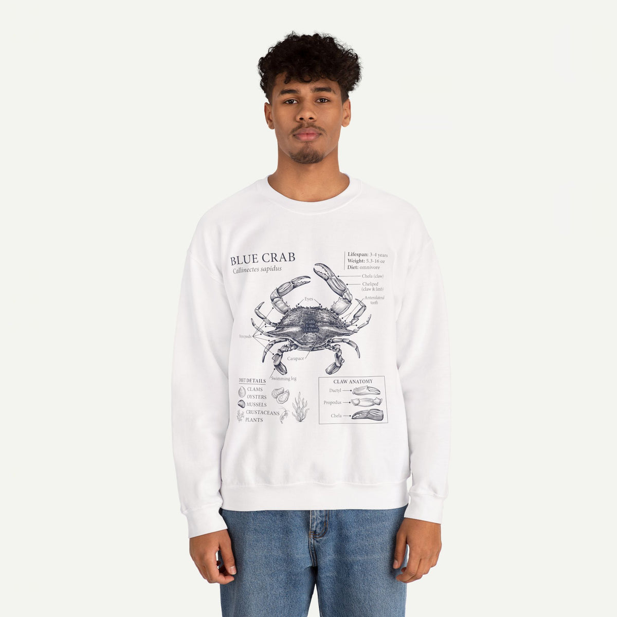 Blue Crab Anatomy Crewneck Sweatshirt – Marine Biology Graphic Pullover