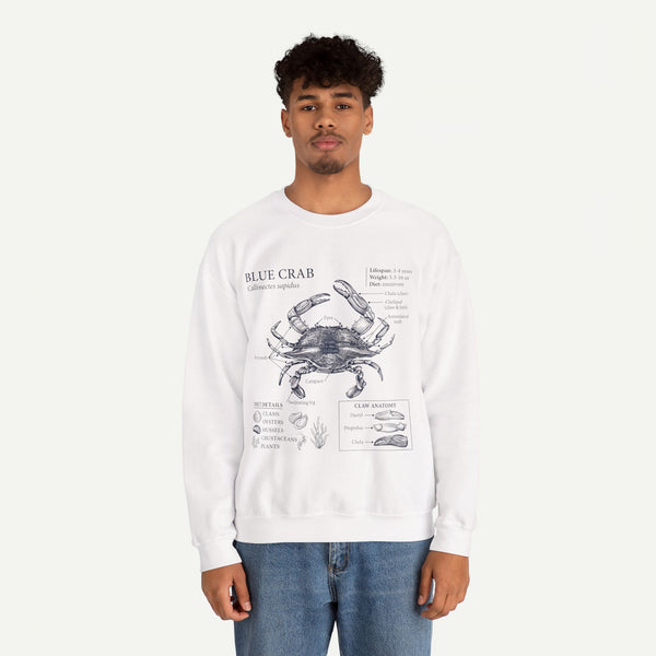 Blue Crab Anatomy Crewneck Sweatshirt – Marine Biology Graphic Pullover