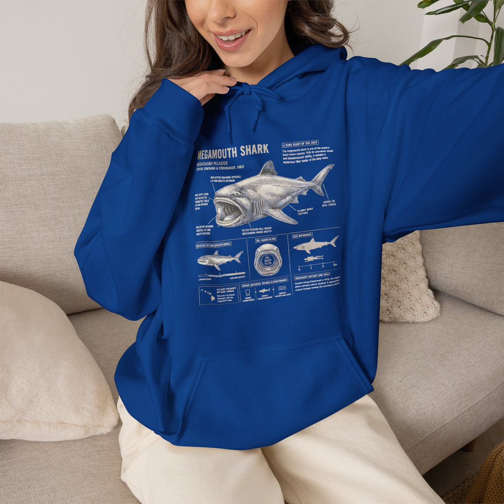 Shark Anatomy Hoodie — Vintage Megalodon Illustration Pullover