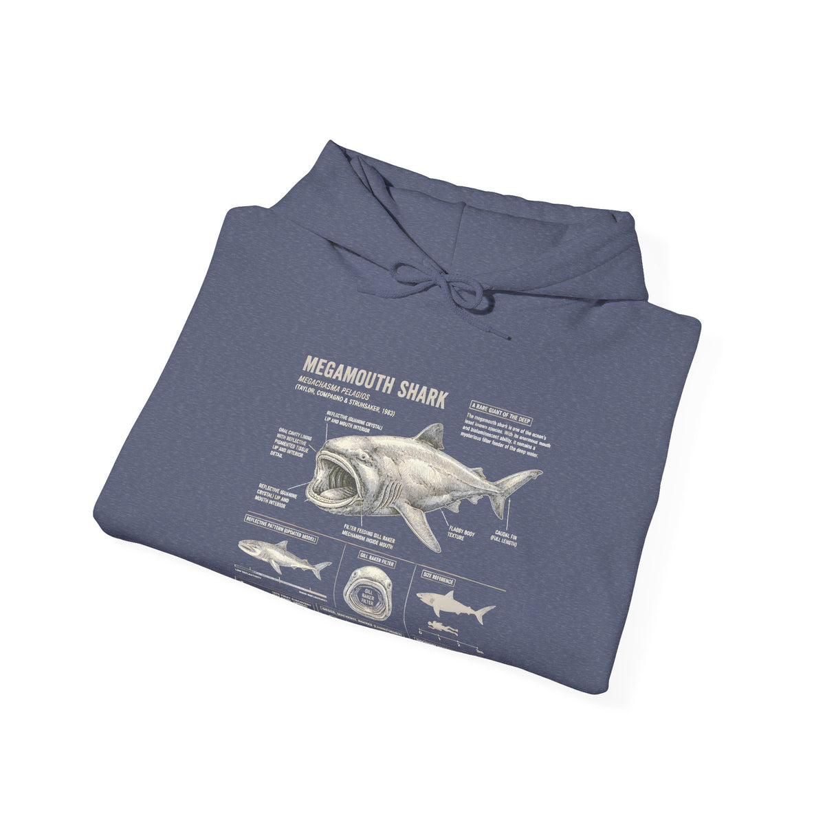 Shark Anatomy Hoodie — Vintage Megalodon Illustration Pullover