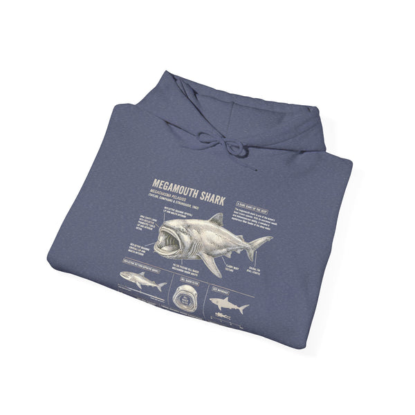 Shark Anatomy Hoodie — Vintage Megalodon Illustration Pullover