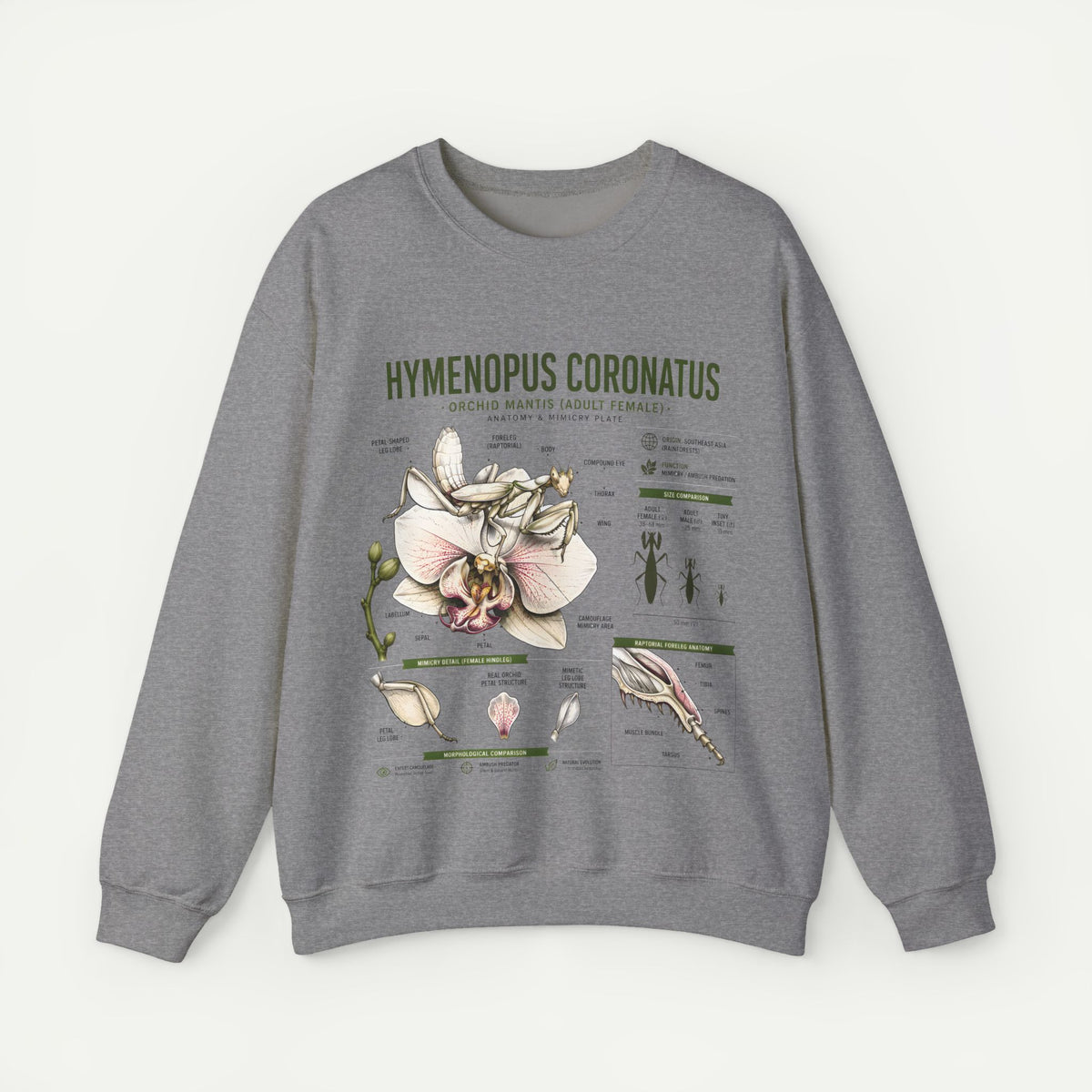 Botanical Anatomy Sweatshirt — Hymenopus Coronatus Illustration