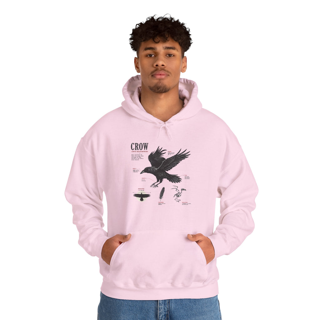 Crow Anatomy Hoodie — Vintage Raven Diagram Hooded Sweatshirt