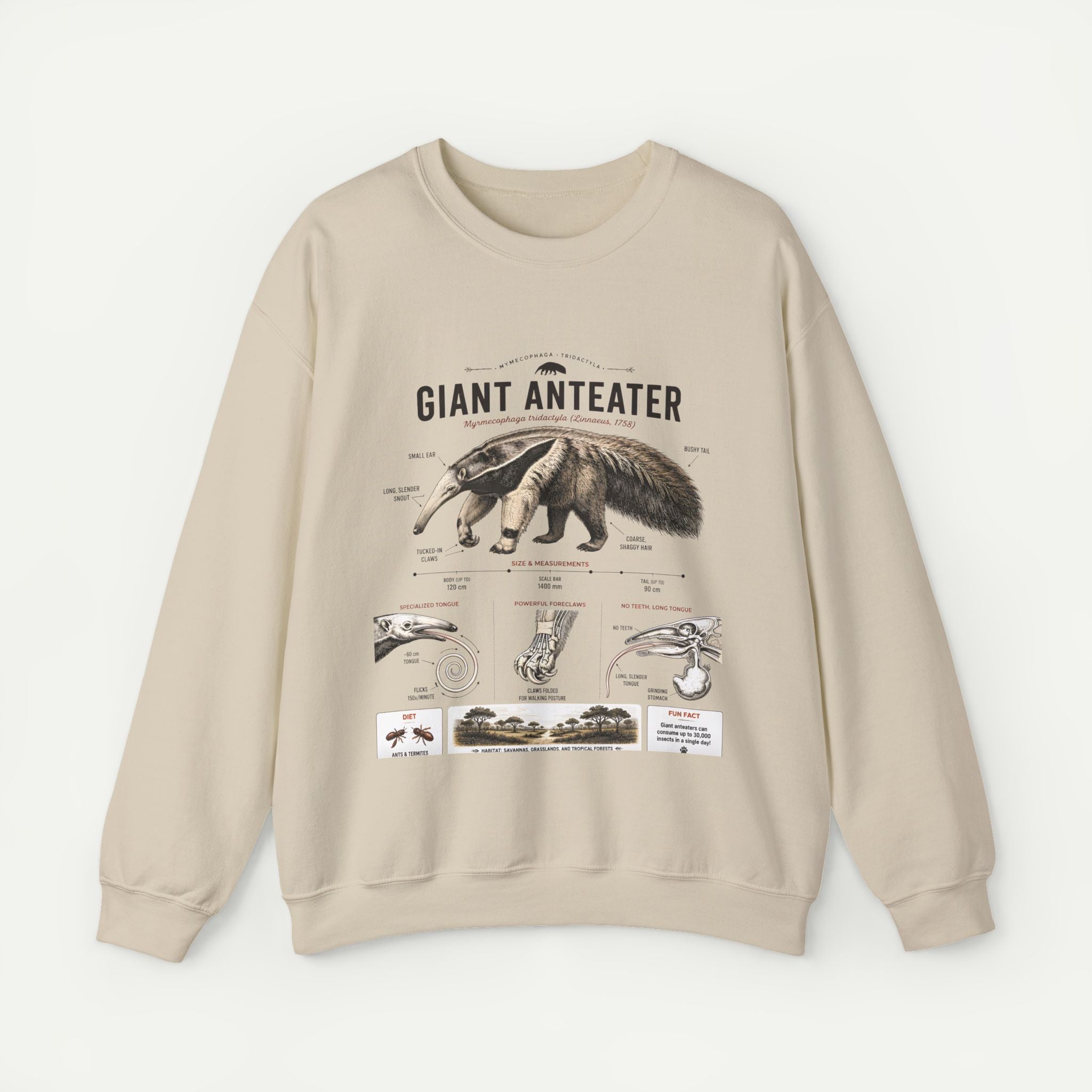 Giant Anteater Anatomy Crewneck Sweatshirt – Vintage Wildlife Anatomy Illustration Secondary image