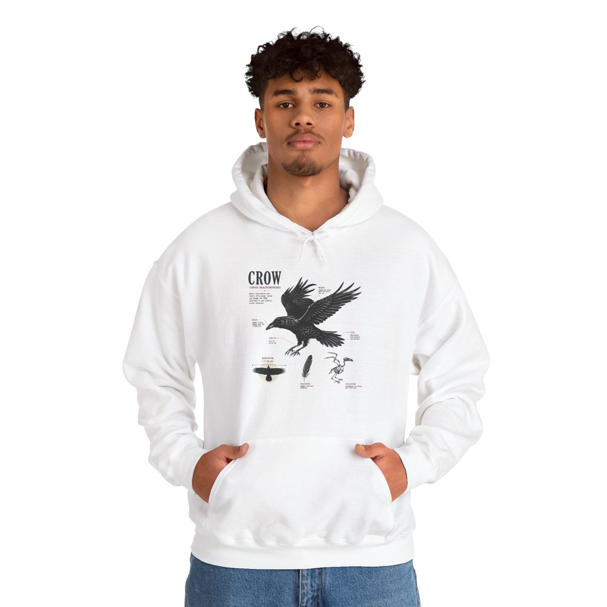 Crow Anatomy Hoodie — Vintage Raven Diagram Hooded Sweatshirt