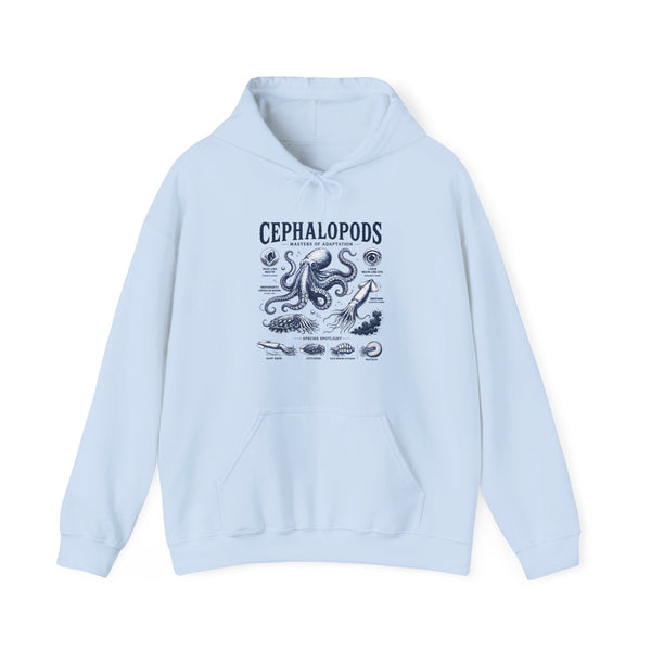 Cephalopods Hoodie — Vintage Marine Octopus Illustration Sweatshirt