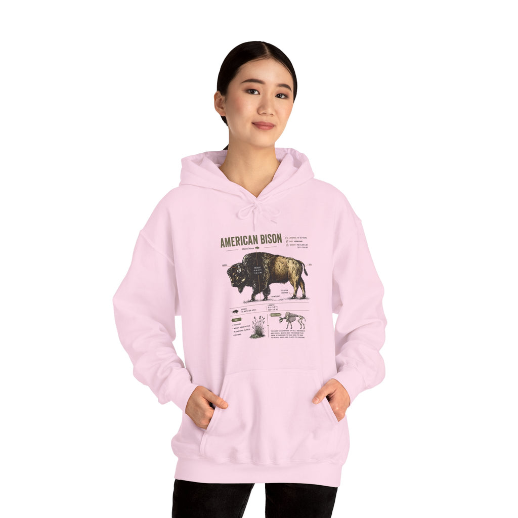 Bison Anatomy Hoodie — American Bison Illustration & Facts Sweatshirt