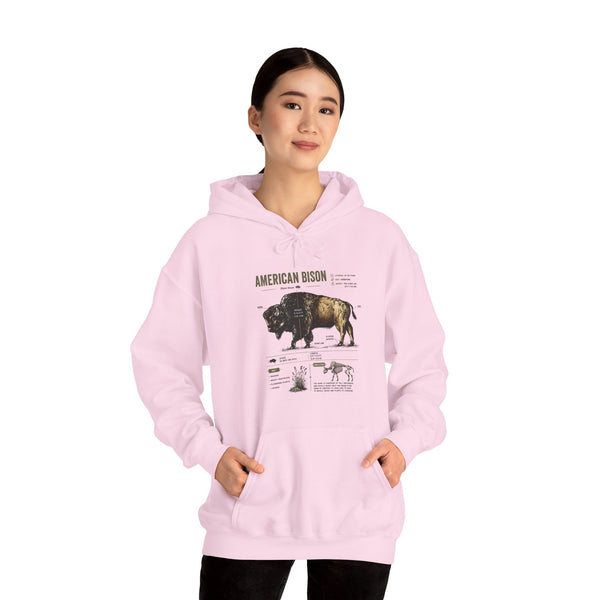 Bison Anatomy Hoodie — American Bison Illustration & Facts Sweatshirt