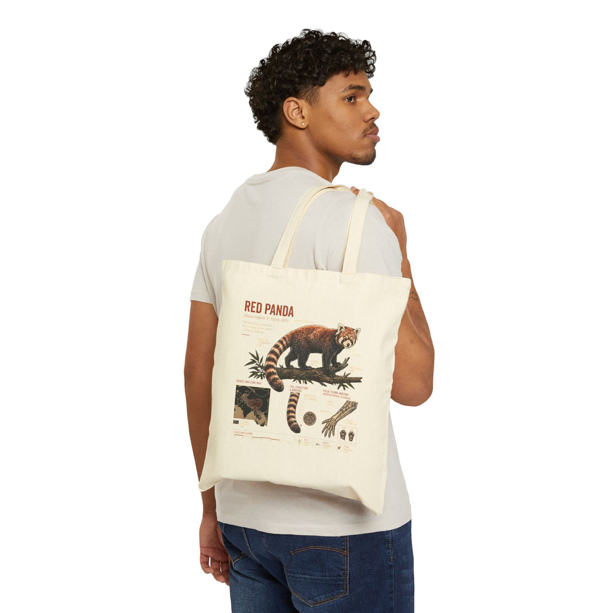 Red Panda Anatomy Canvas Tote Bag — Vintage Wildlife Illustration Eco Shopper