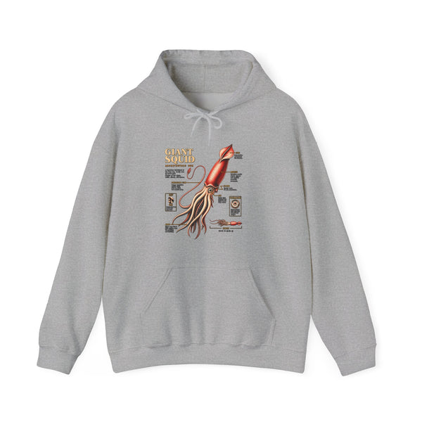 Squid Anatomy Hoodie — Vintage Scientific Illustration Pullover