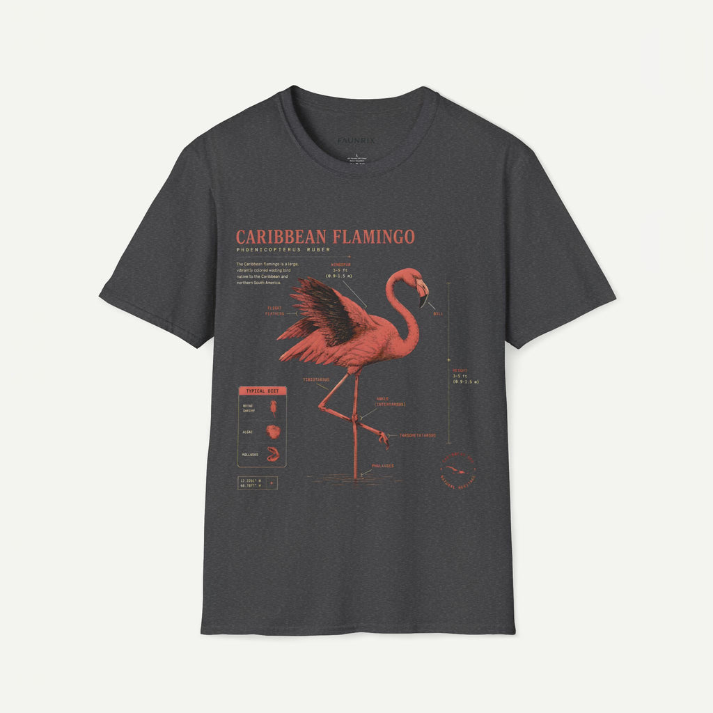 Flamingo Anatomy T-shirt — "Caribbean Flamingo" Vintage Tropical Tee