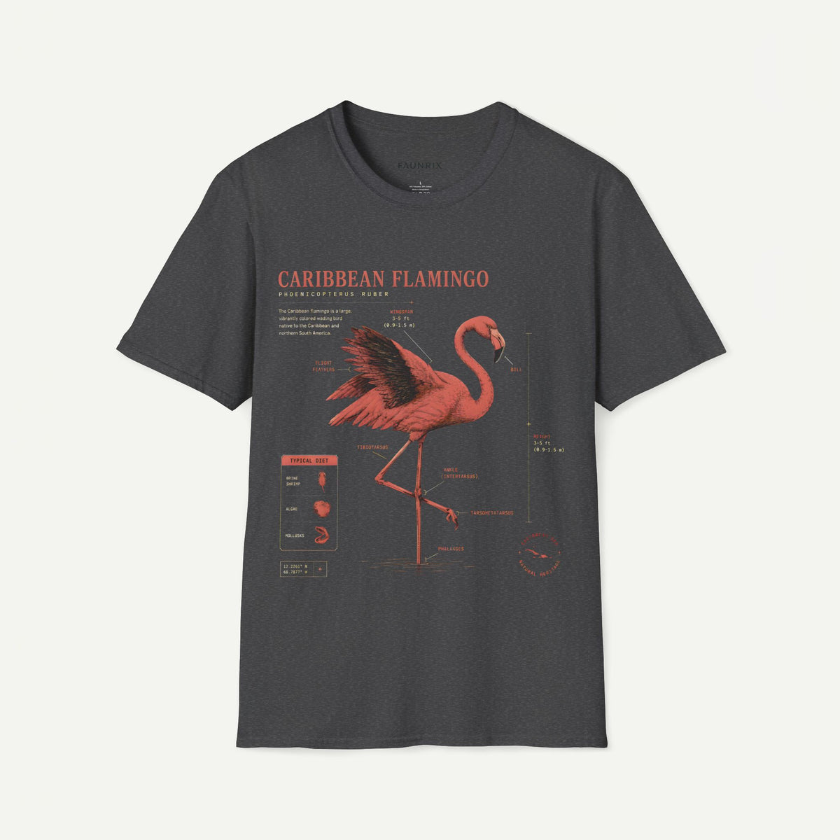 Flamingo Anatomy T-shirt — "Caribbean Flamingo" Vintage Tropical Tee