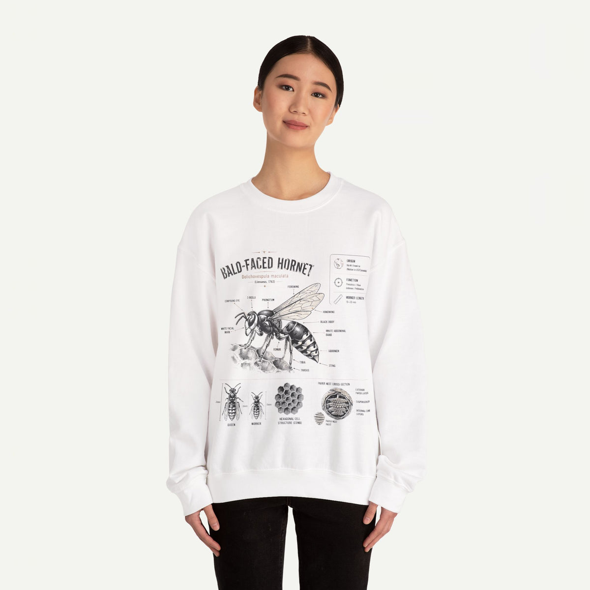 Hornet Anatomy Sweatshirt — Bald-Faced Hornet Diagram Crewneck
