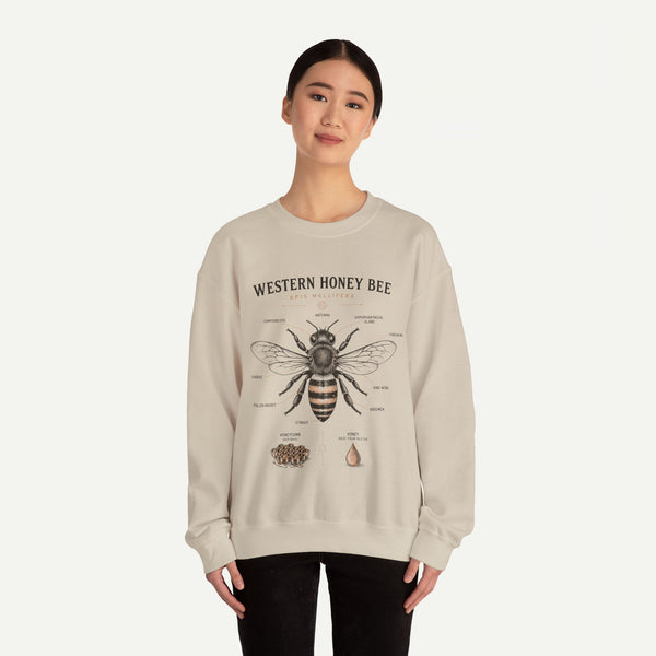 Western Honey Bee Sweatshirt — Vintage Bee Anatomy Graphic