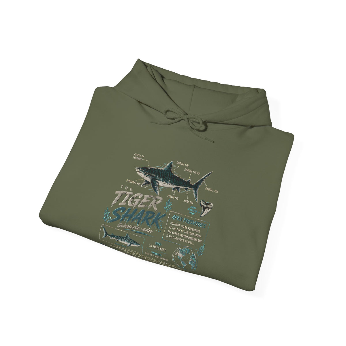 Tiger Shark Illustration Hoodie — Marine Biology Graphic Pullover (Tiger Shark Facts)