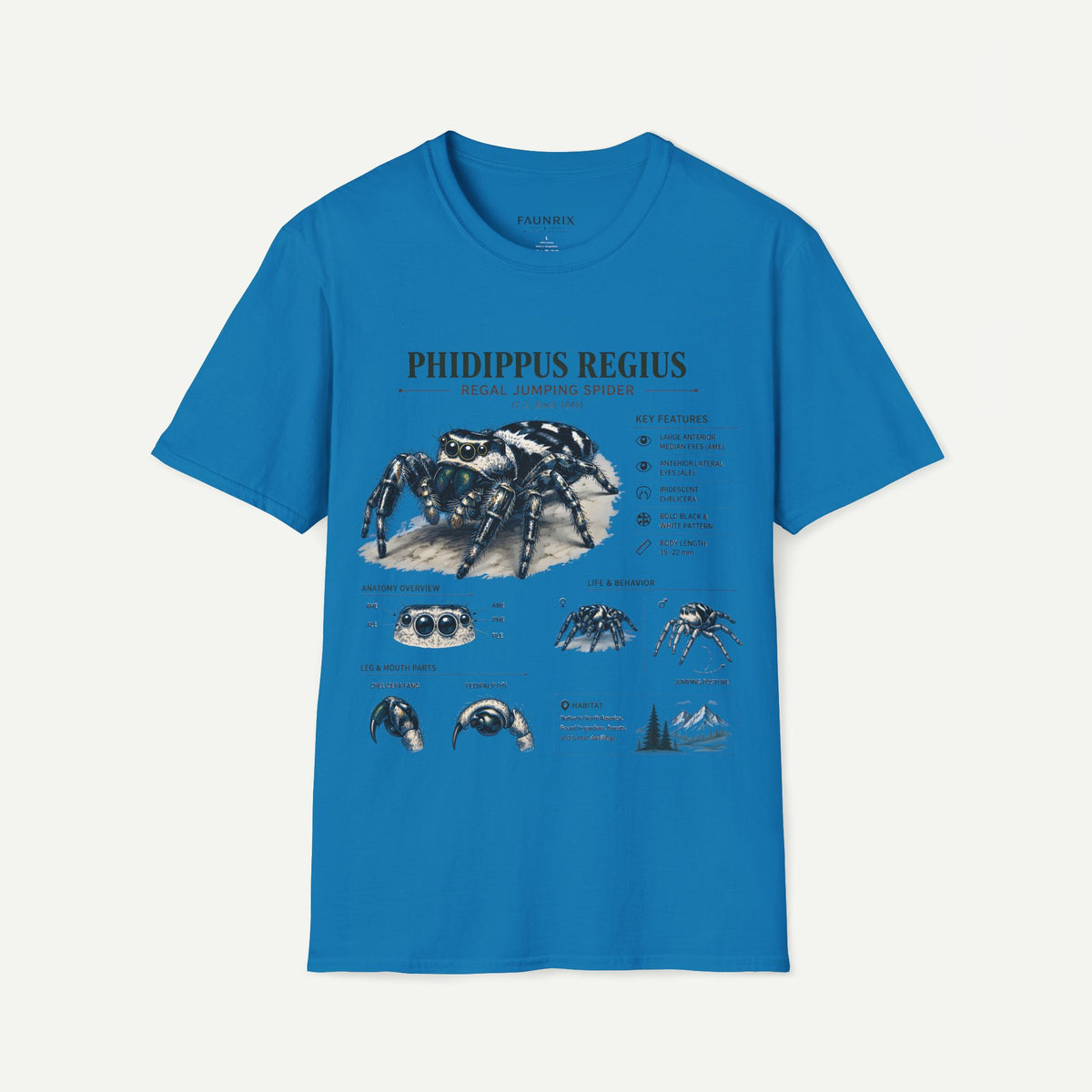 Phidippus Regius Jumping Spider Anatomy T-Shirt — Educational Arachnid Tee