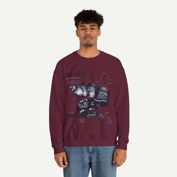 Giant Moray Eel Anatomy Sweatshirt